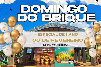 12ª Edição do Domingo do Brique