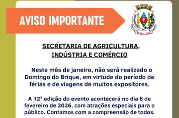 Domingo do Brique retorna em fevereiro