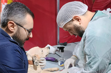 Realizada a 1ª Edição do Programa Melhores Amigos