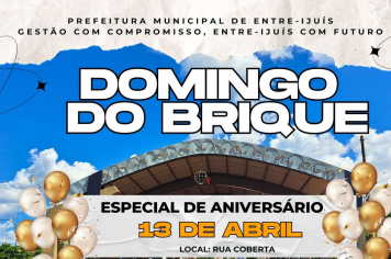 3ª Edição do Domingo do Brique